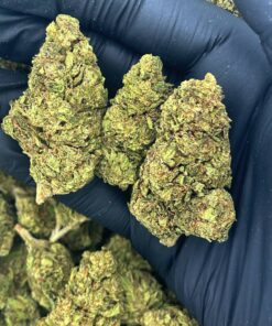 Gorilla Glue Strain