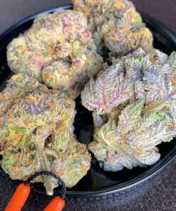 Lemon Kush Strain